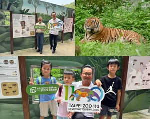 台灣虎航持續支持動物保育　台北市立動物園馬來虎保育立牌